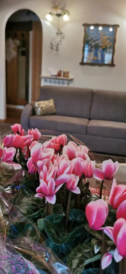 Borgo Alpino Chalet 4 أبريكا المظهر الخارجي الصورة